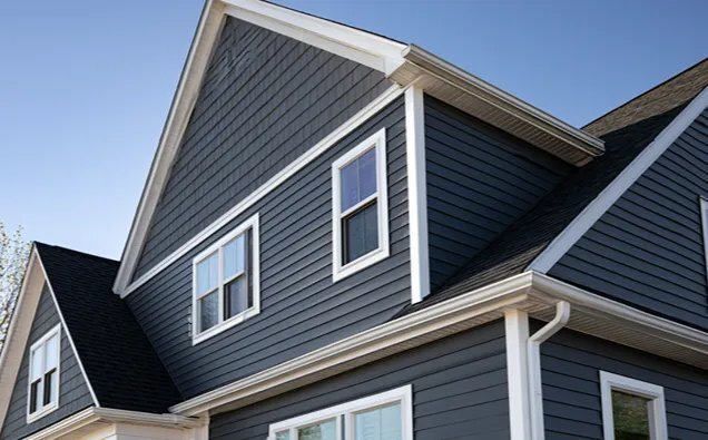 Vinyl Siding X